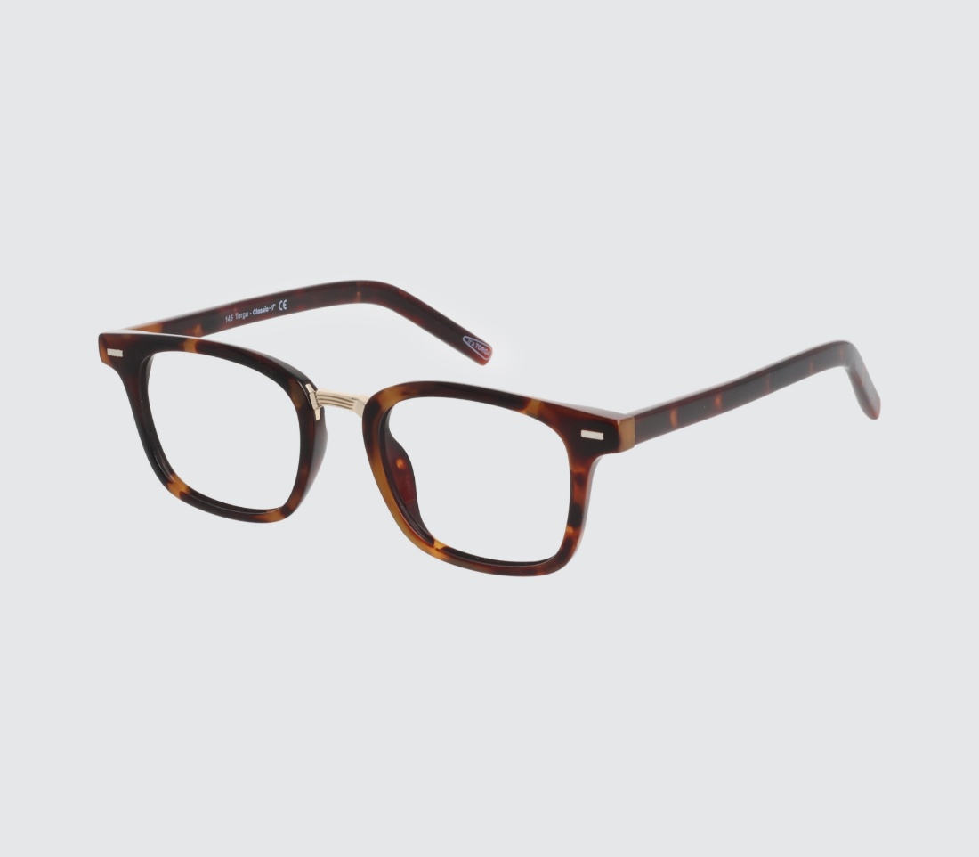 Classic Torga 29 Havana