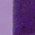 Purple Violet