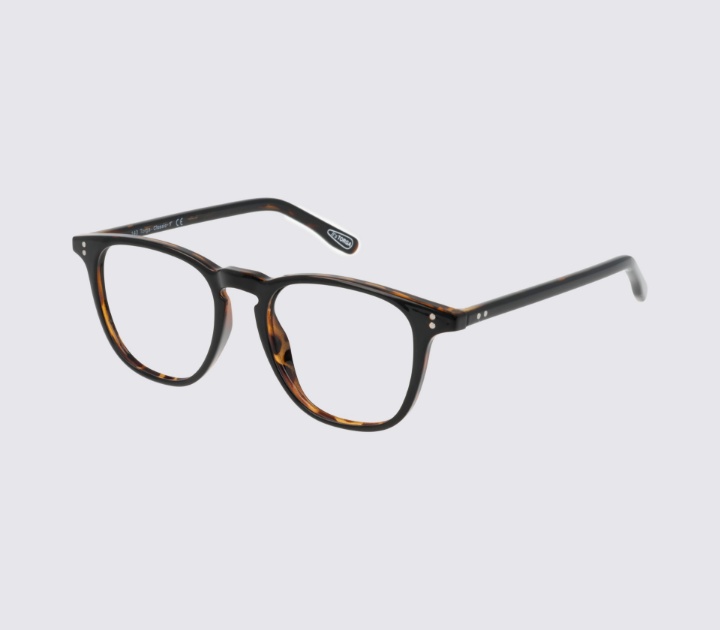 Torga Classic 56 Havana